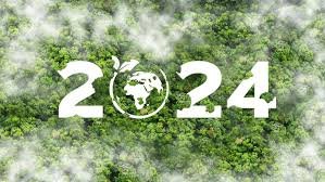 Economic Implications of the Green Transition: How Climate Policies Are Shaping Markets in 2024